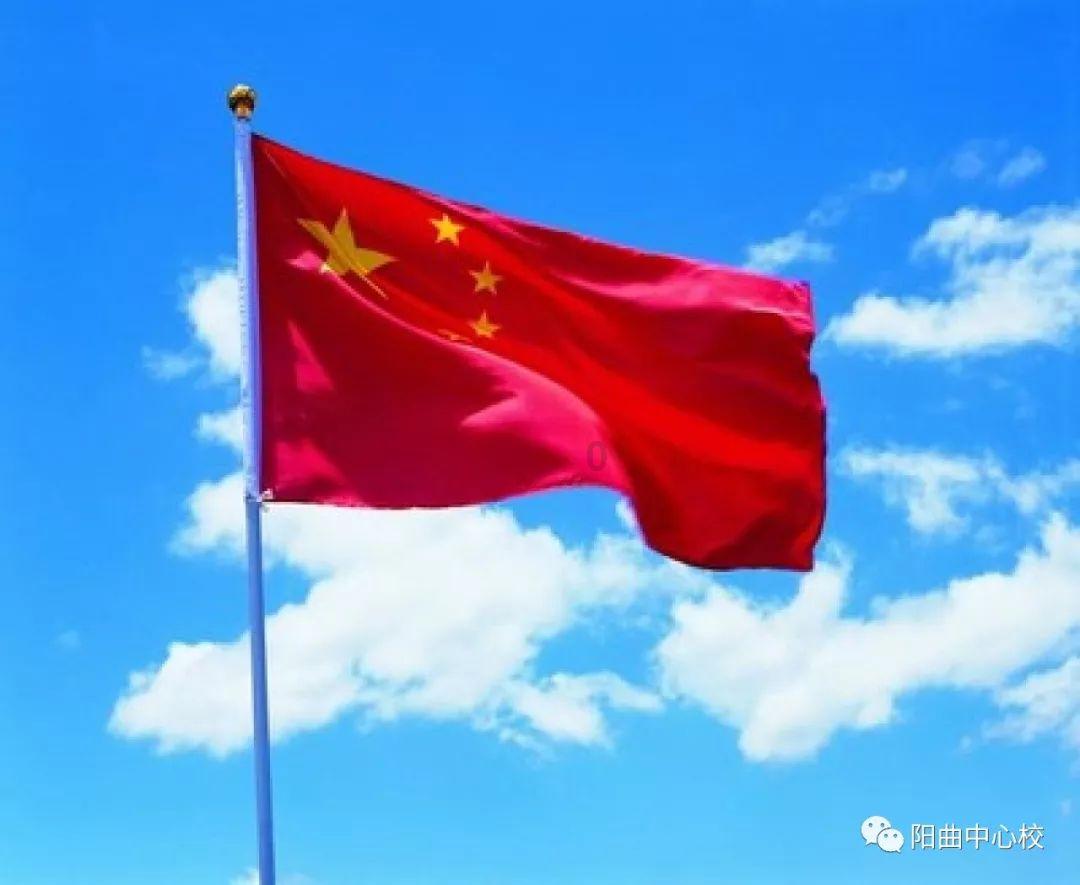 萌宠好又多